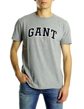 Camiseta  Gant Graphic T-Shirt Gris