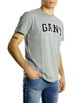 Camiseta  Gant Graphic T-Shirt Gris